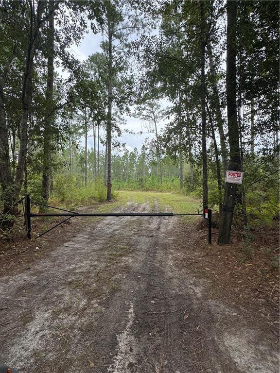 1603 Dl Durrence Road Reidsville, GA 30453 - Photo 17 of 31 Photo 17
