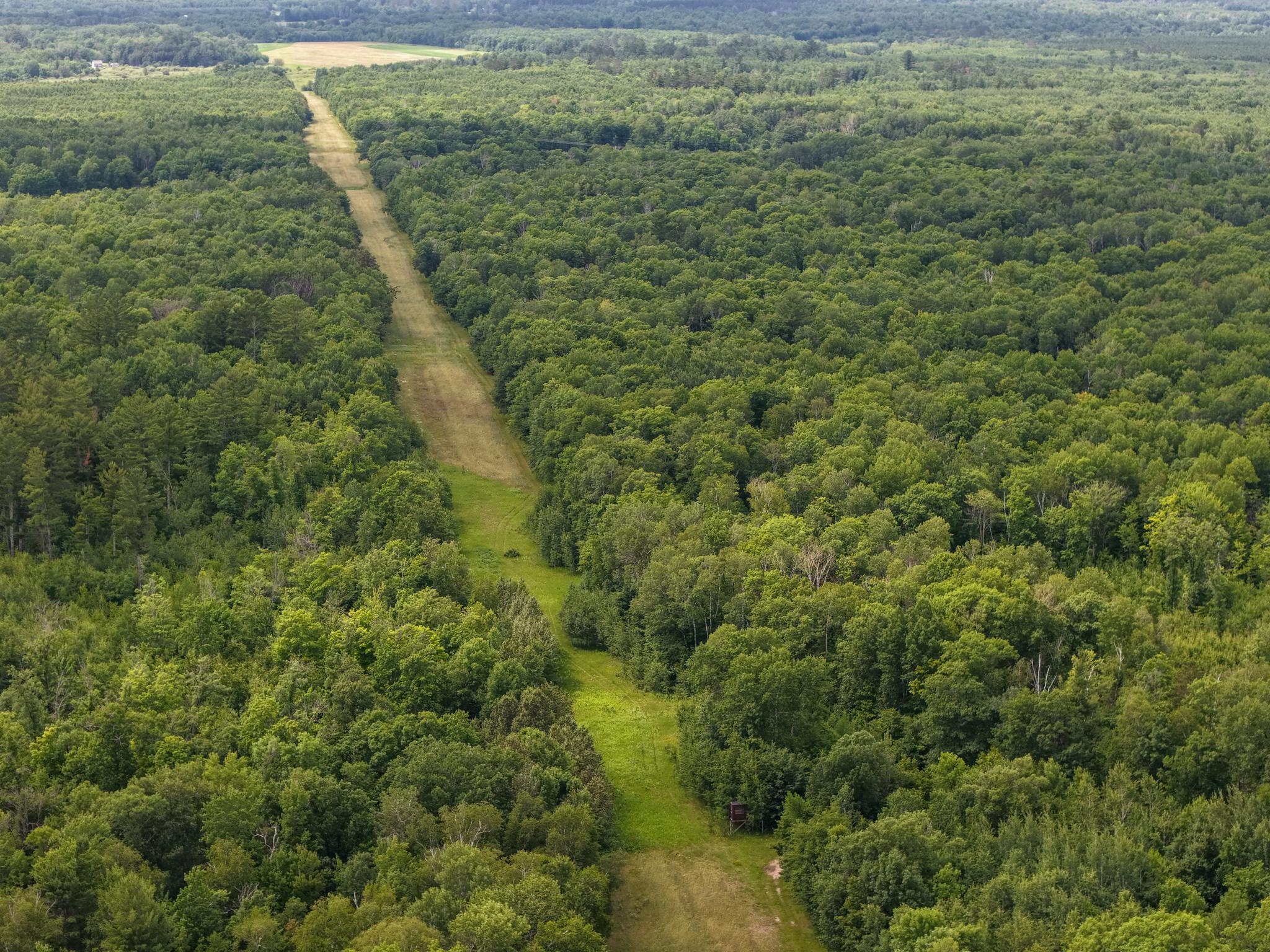 80-acres Pike Bay Loop Road Northwest Cass Lake, MN 56633 - Photo 12 of 27
