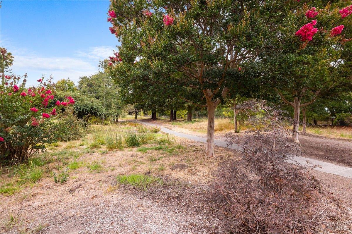 980 Stanislaus Way Santa Rosa, CA 95401 - Photo 31 of 35 Gallery Image 31