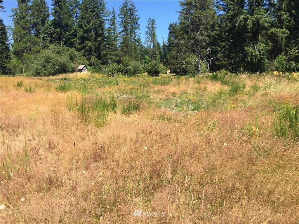 0 Quick Road Castle Rock, WA 98611 - Photo 1 of 8 Gallery Image 1