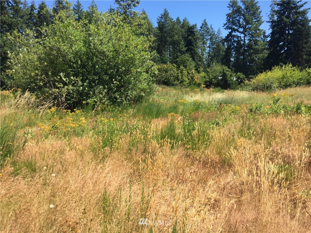 0 Quick Road Castle Rock, WA 98611 - Photo 2 of 8 Gallery Image 2