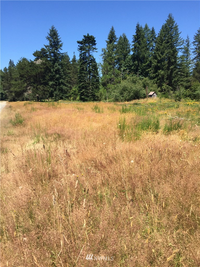 0 Quick Road Castle Rock, WA 98611 - Photo 4 of 8 Gallery Image 4