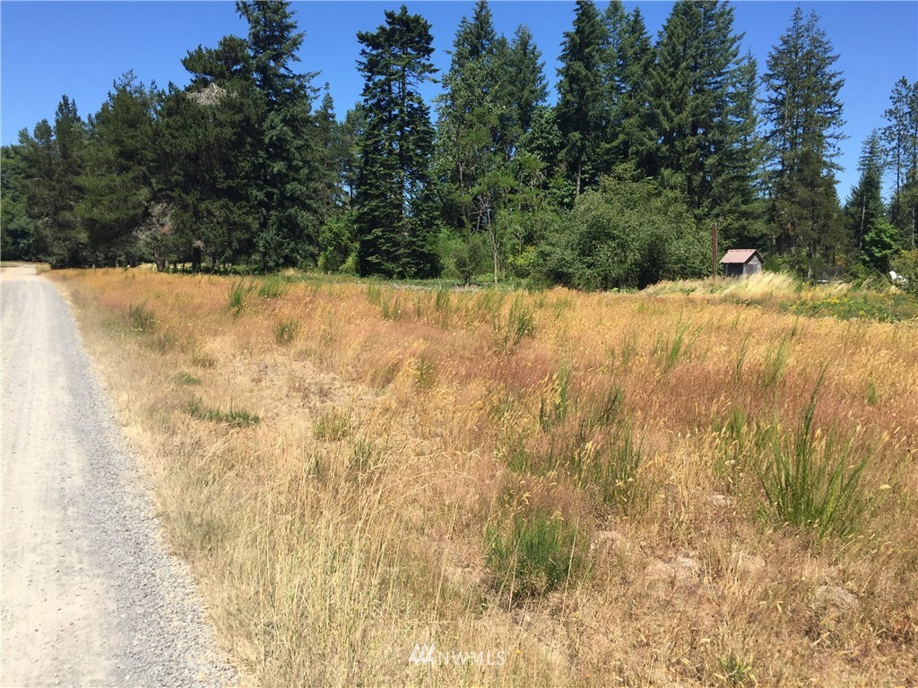 0 Quick Road Castle Rock, WA 98611 - Photo 6 of 8 Gallery Image 6