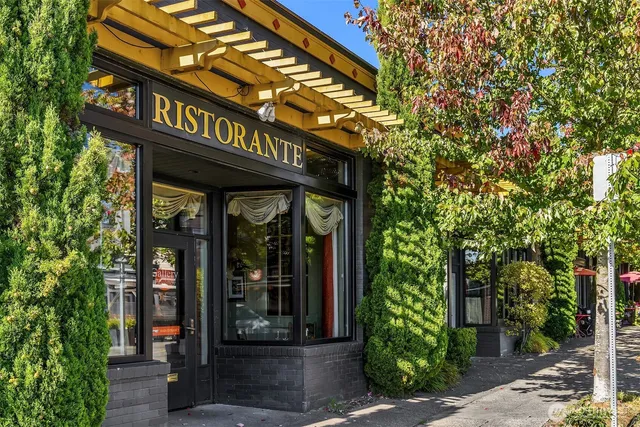 a big yard with lots of green space
