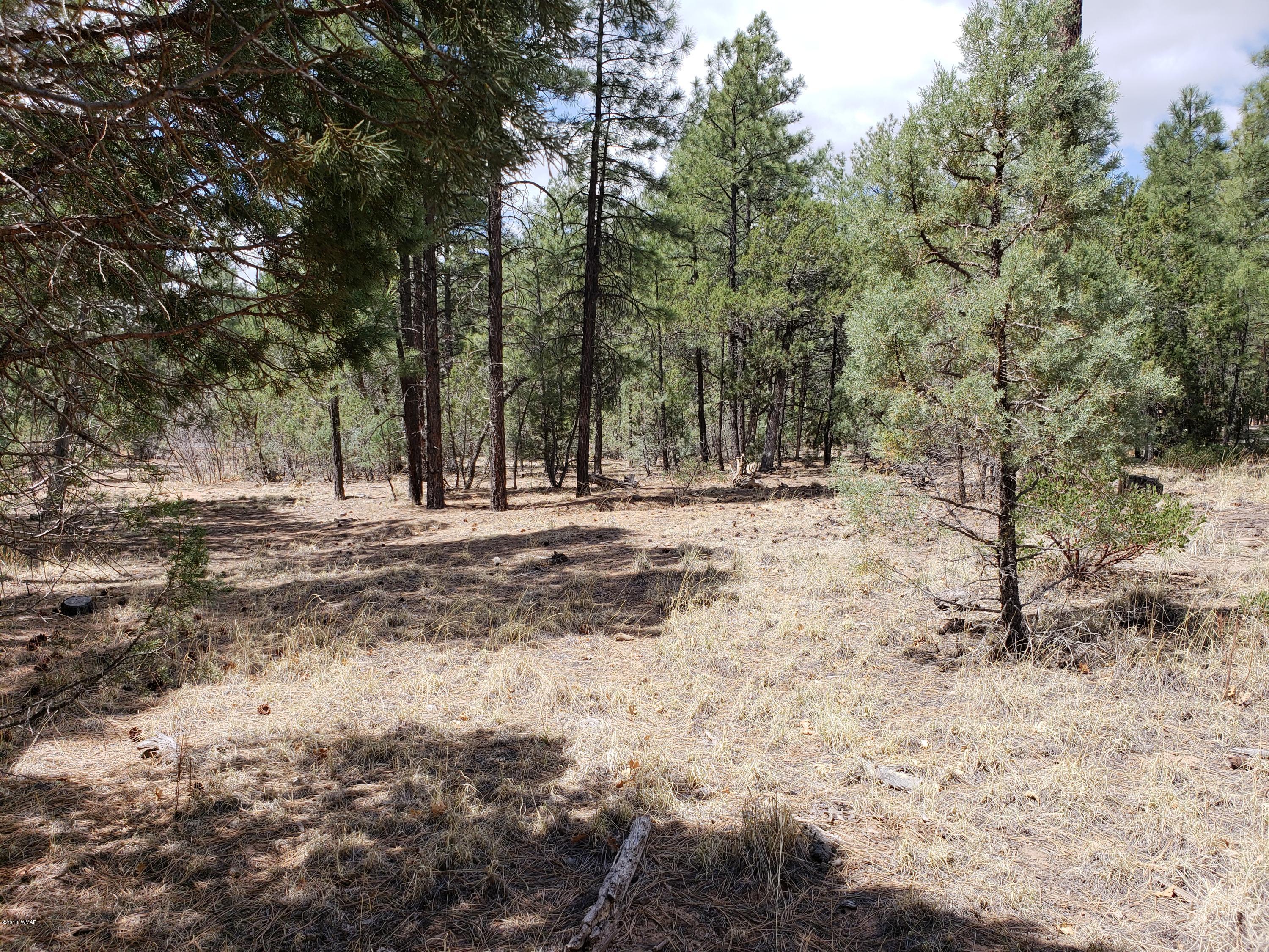1399 South Falling Leaf Road Show Low, AZ 85901 - Photo 6 of 7 Gallery Image 6