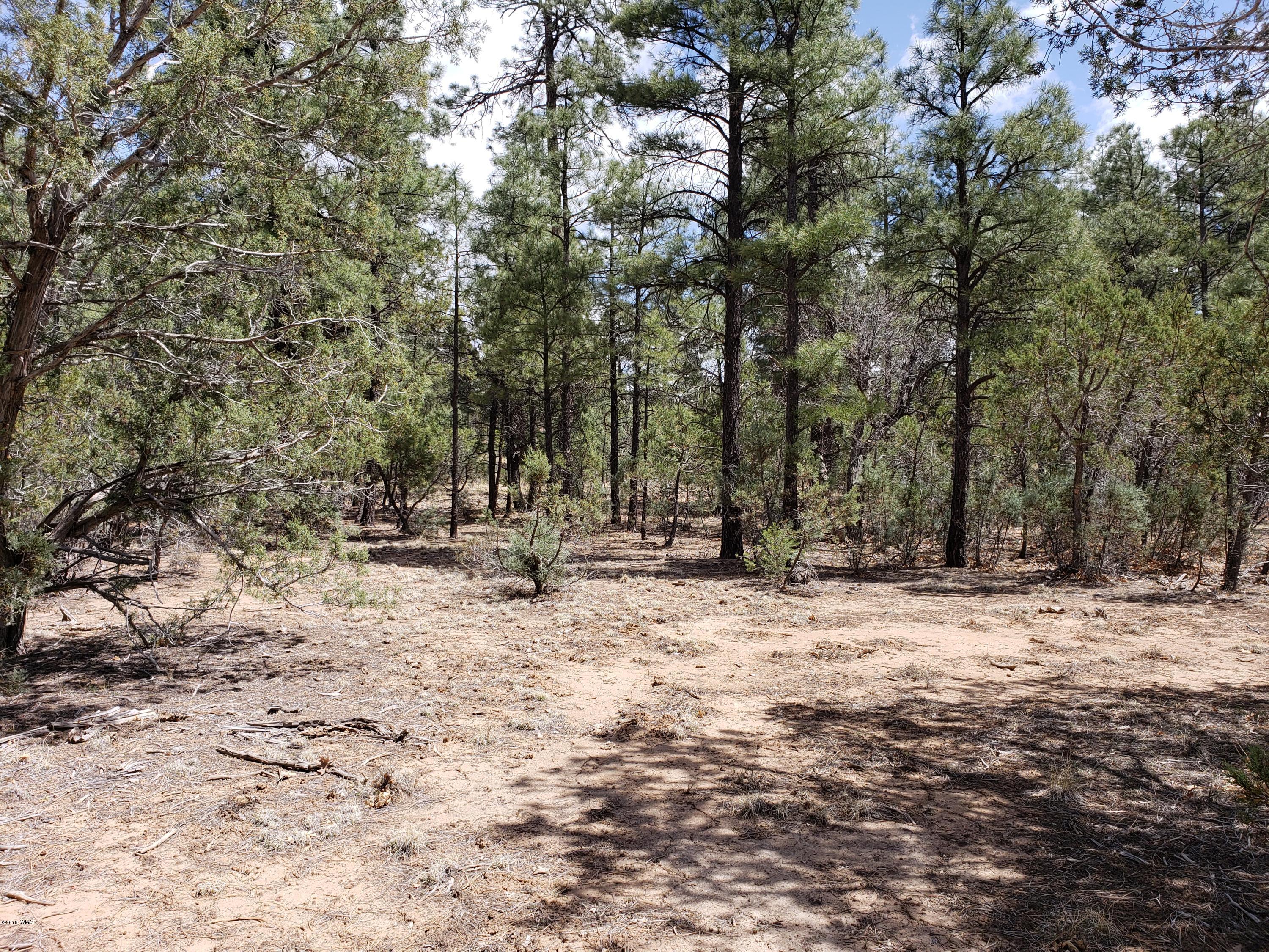 1399 South Falling Leaf Road Show Low, AZ 85901 - Photo 7 of 7 Gallery Image 7