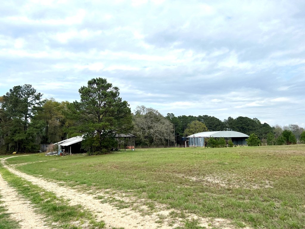 649 Okapilco Church Road Dixie, GA 31629 - Photo 11 of 49 Gallery Image 11