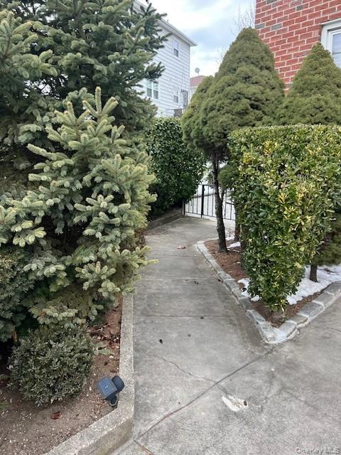 a view of a pathway both side of the yard