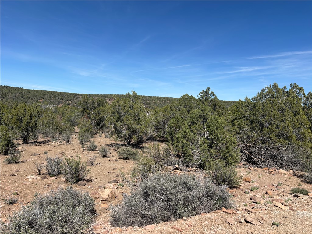 352-38-012 352-38-012 Badger Ridge Road Kingman, AZ 86401 - Photo 27 of 31