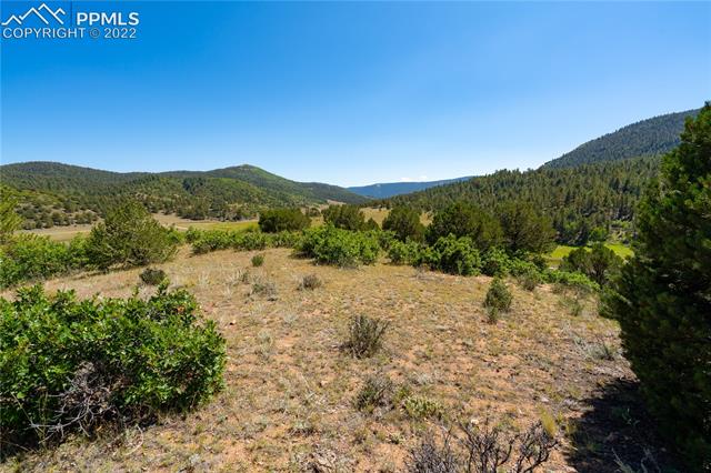 0 Open Flats Road Canon City, CO 81212 - Photo 10 of 50 Gallery Image 10