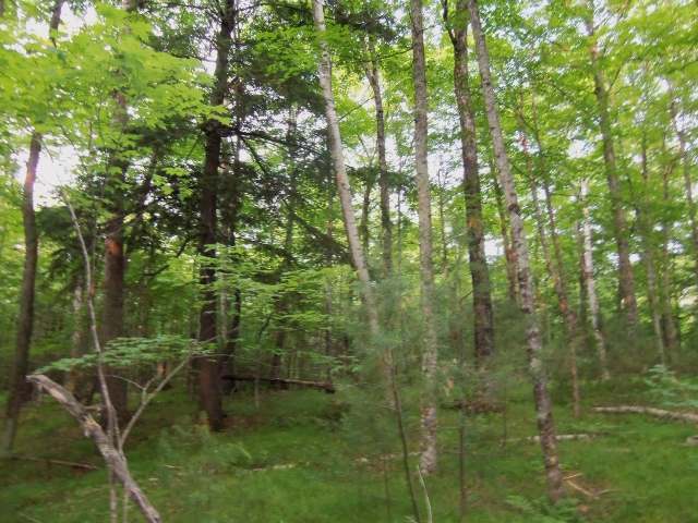10 Kein Road Mercer, WI 54547 - Photo 15 of 15 Gallery Image 15