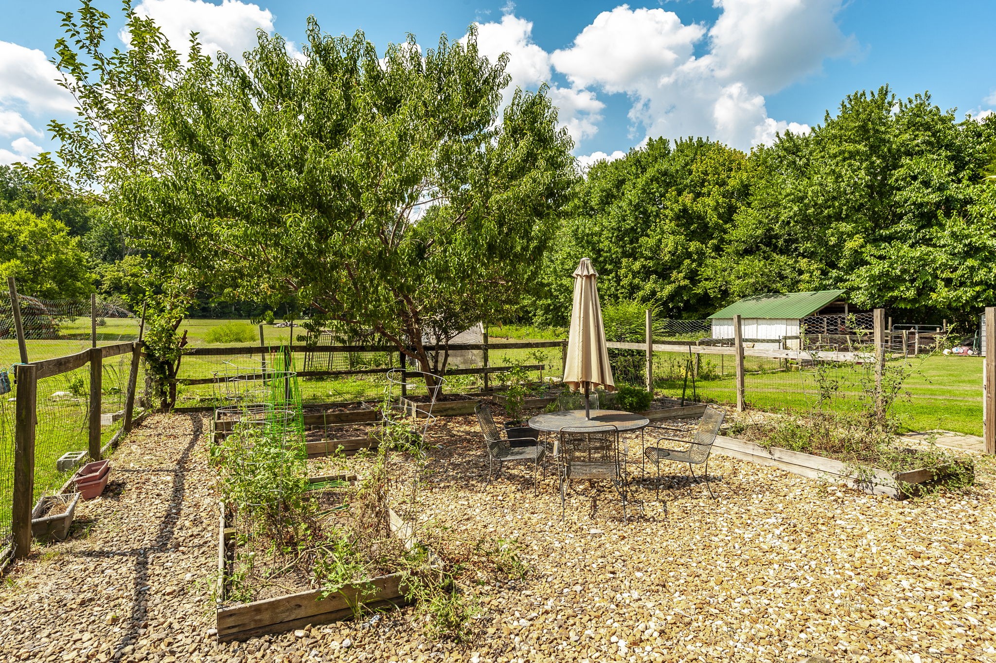 3538 Armstrong Road Springfield, TN 37172 - Photo 42 of 69