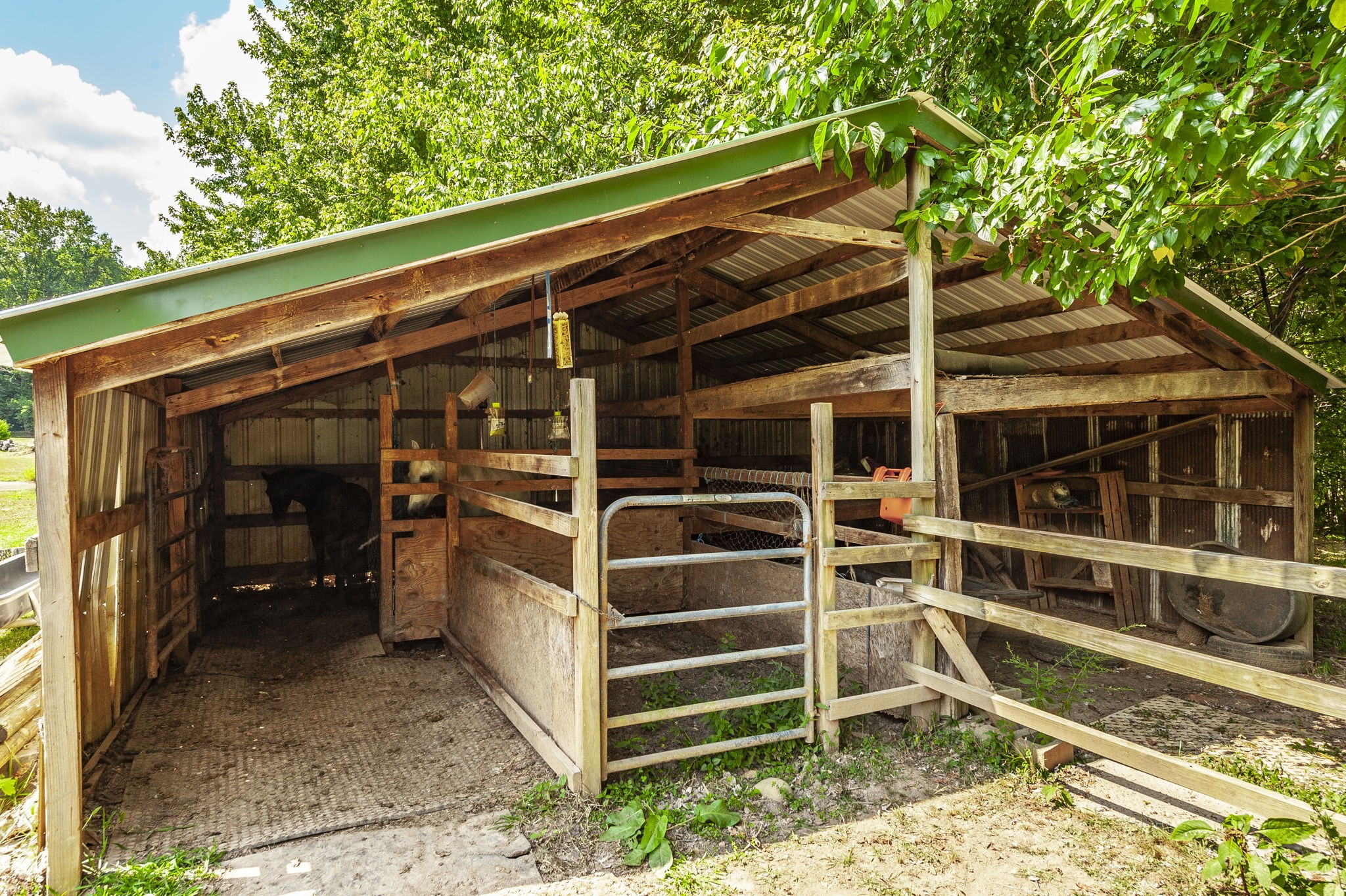 3538 Armstrong Road Springfield, TN 37172 - Photo 47 of 69