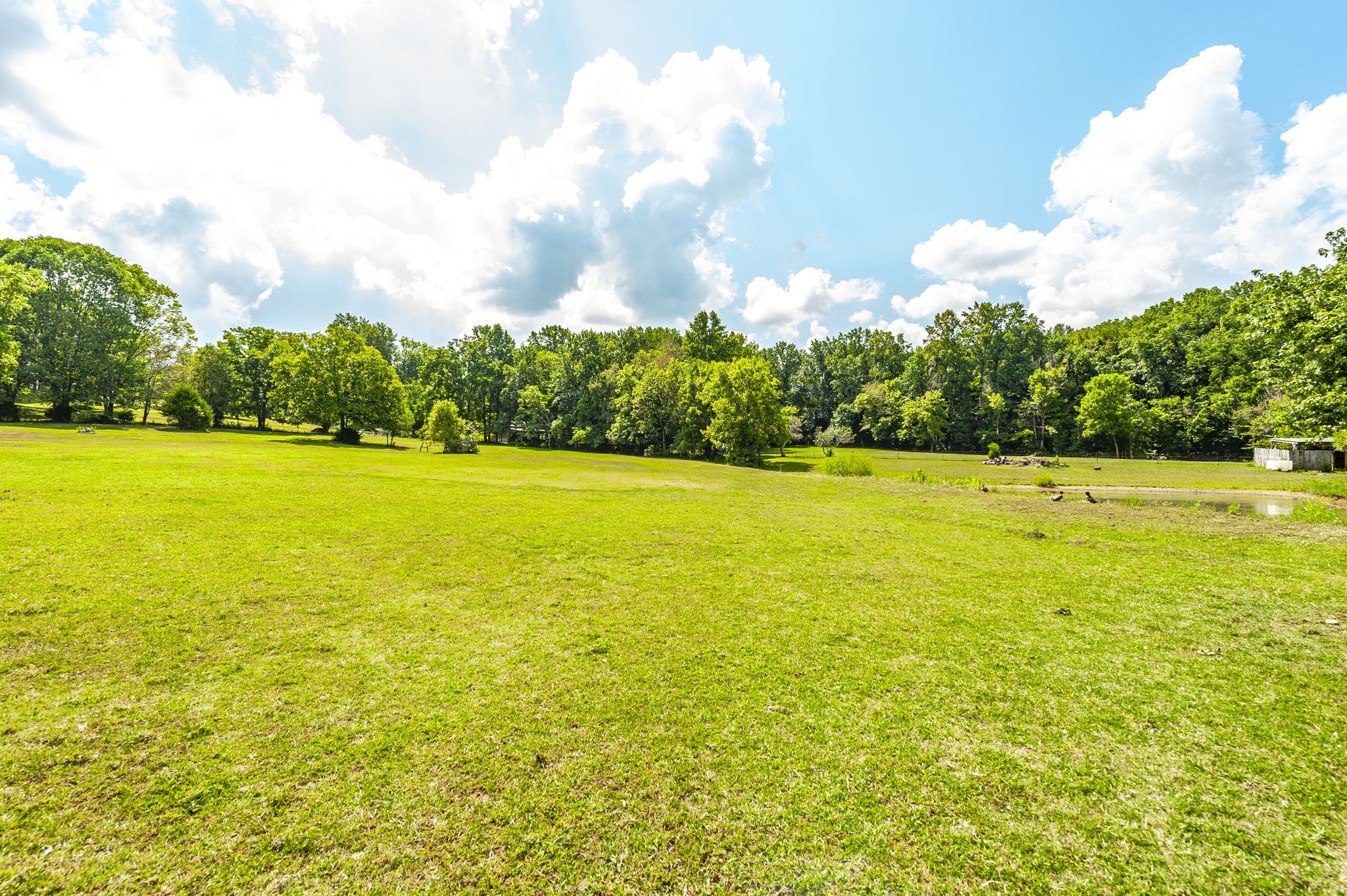 3538 Armstrong Road Springfield, TN 37172 - Photo 54 of 69