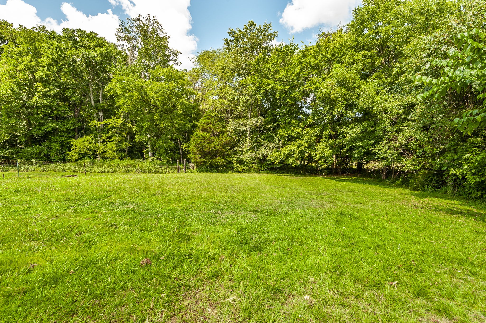 3538 Armstrong Road Springfield, TN 37172 - Photo 55 of 69