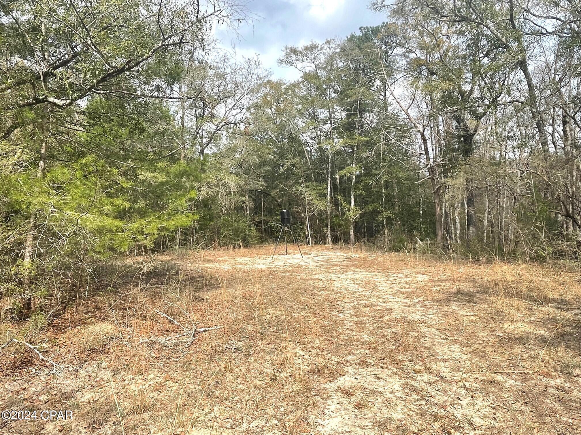 335-acres R M Ward Road Ponce de Leon, FL 32455 - Photo 30 of 37 Gallery Image 30