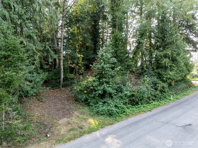 a view of a garden with plants