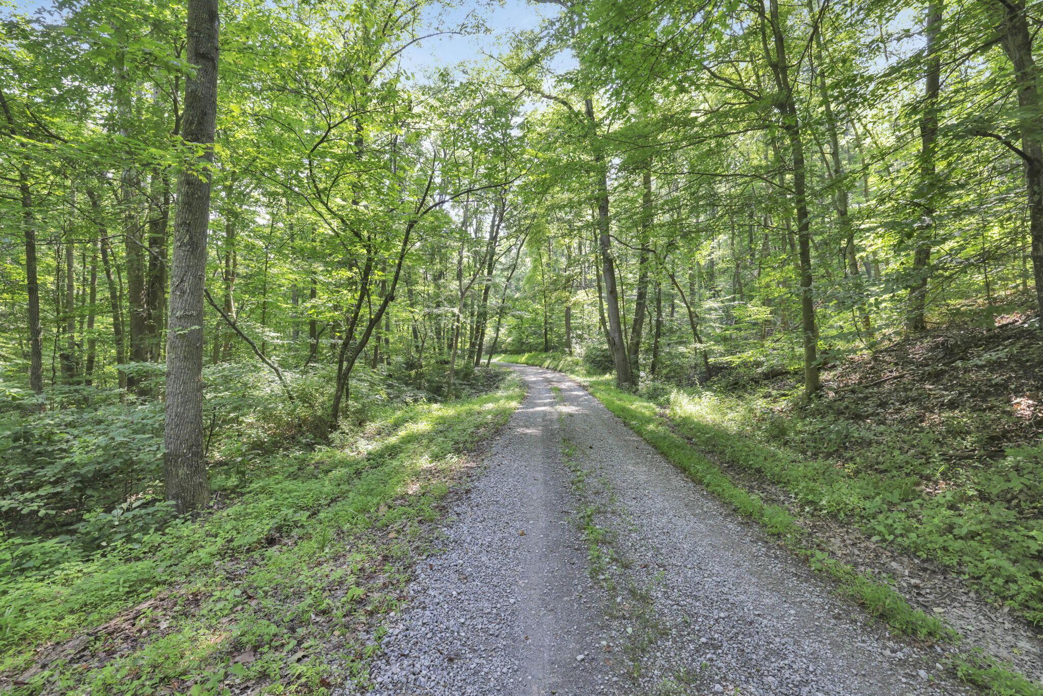 0 Thad Hall Road Laurelville, OH 43135 - Photo 1 of 28 29-web-or-mls-GR7A6874