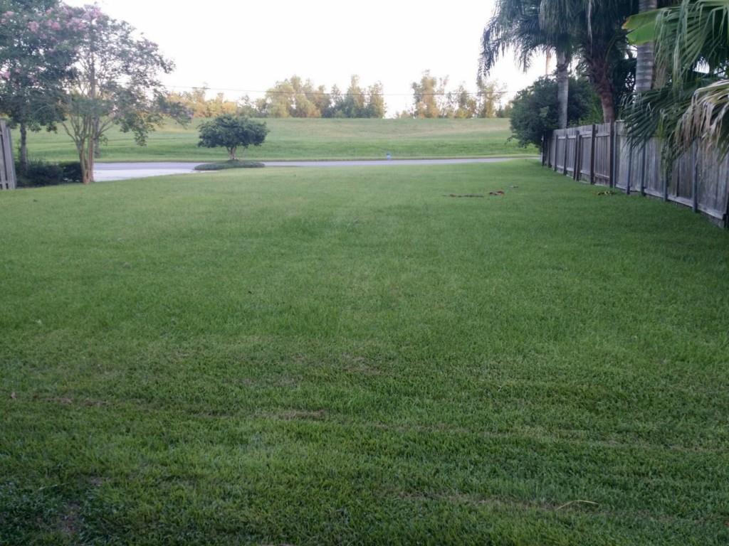 4105 River Road Jefferson, LA 70121 - Photo 11 of 15 Gallery Image 11