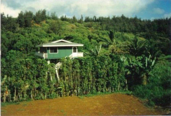 19 B Moloaa Hui Road Kilauea, HI 96754 - Photo 1 of 1 Gallery Image 1