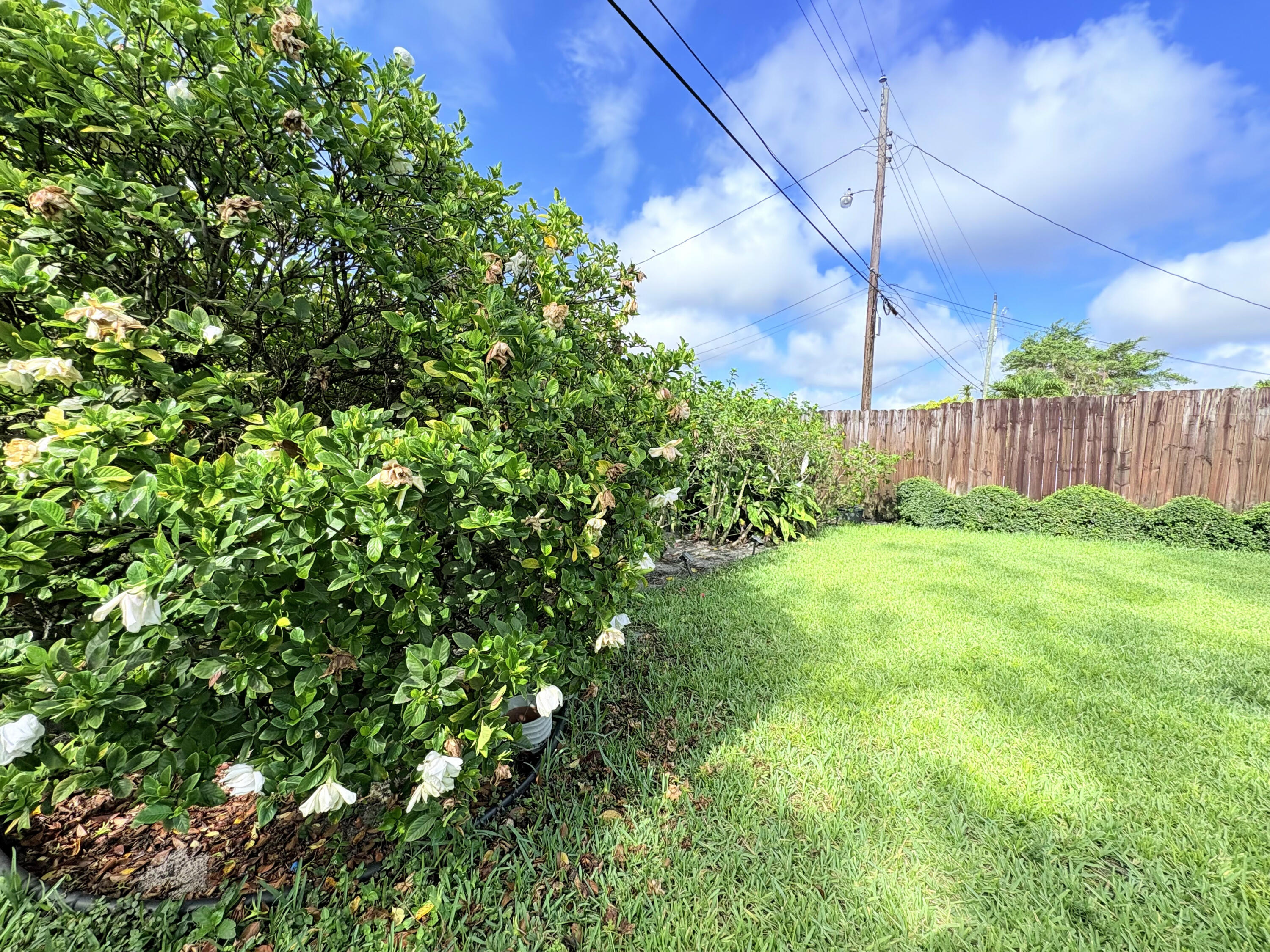 5910 Queen Anne Road West Palm Beach, FL 33415 - Photo 4 of 56 garden
