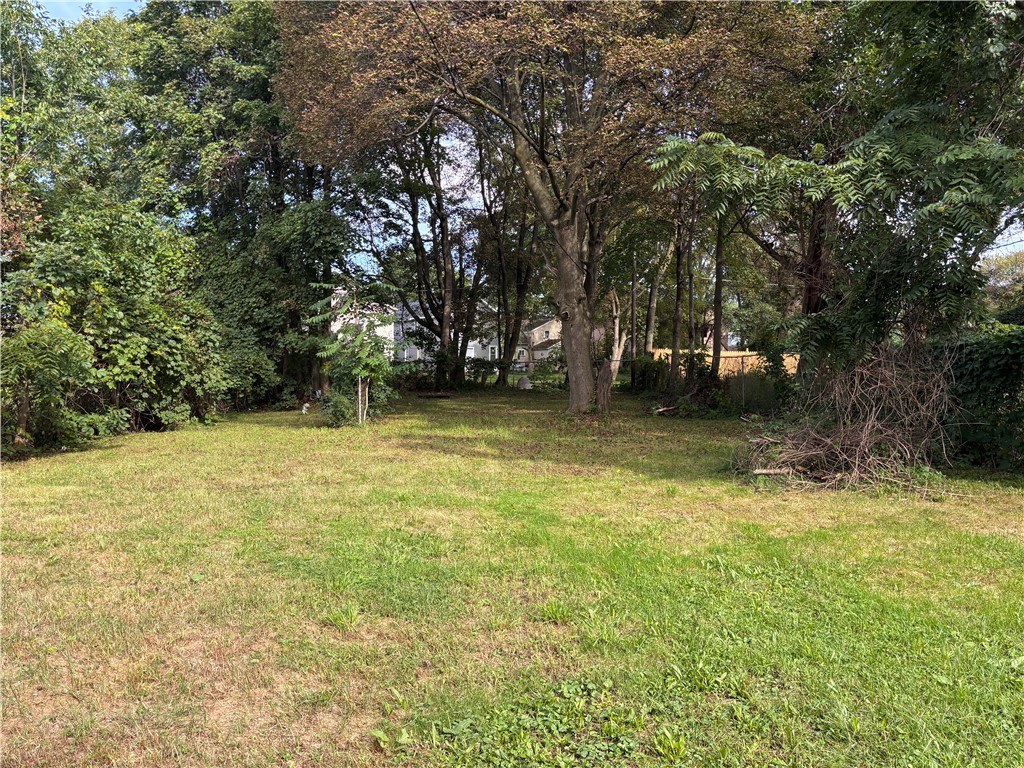 156 Cameron Street Rochester, NY 14606 - Photo 2 of 9 Backyard