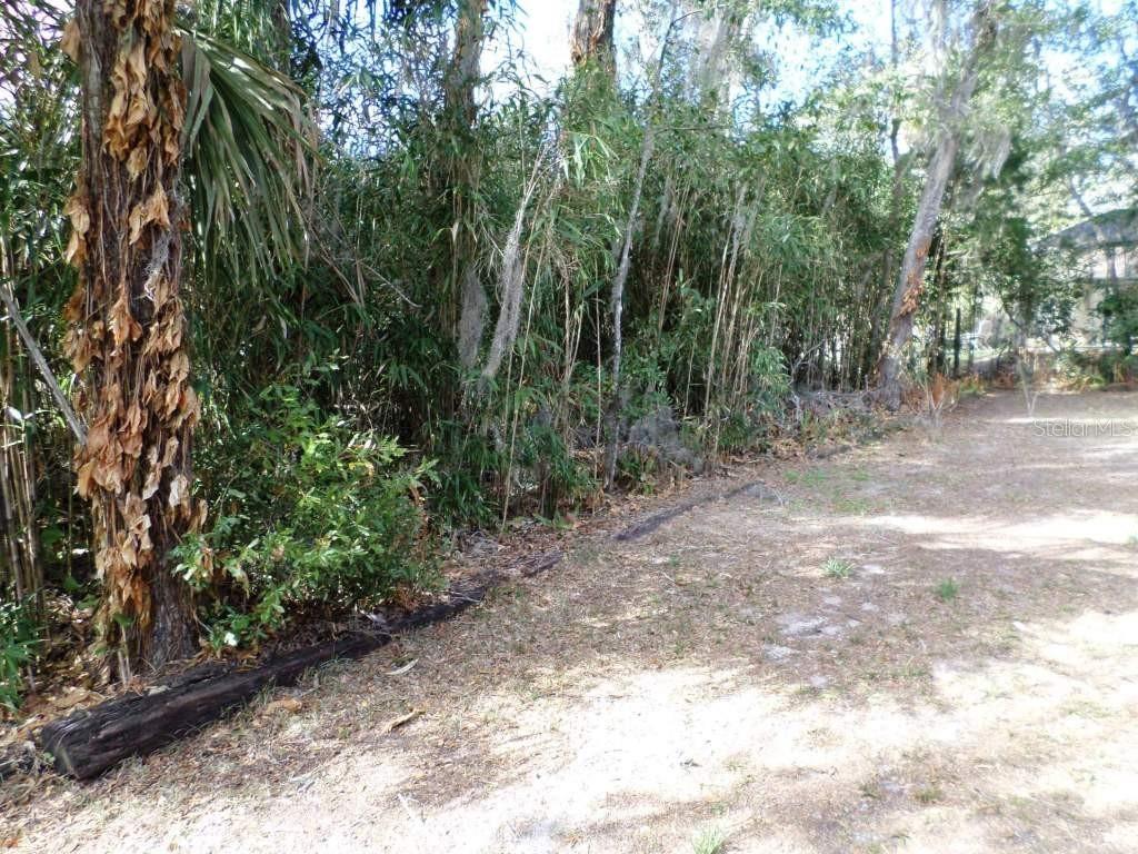 11606 Kennesaw Road Dunnellon, FL 34431 - Photo 30 of 33 a view of a forest with trees