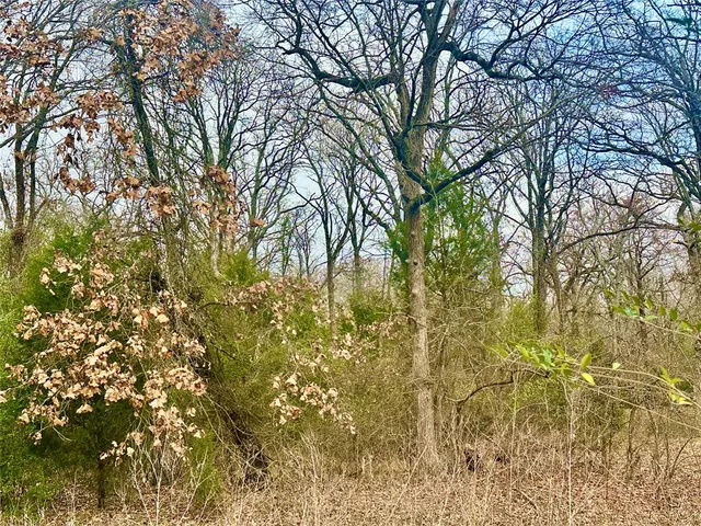 $14,000 | 0 Daniel Boone Lane, Log Cabin, TX 75148