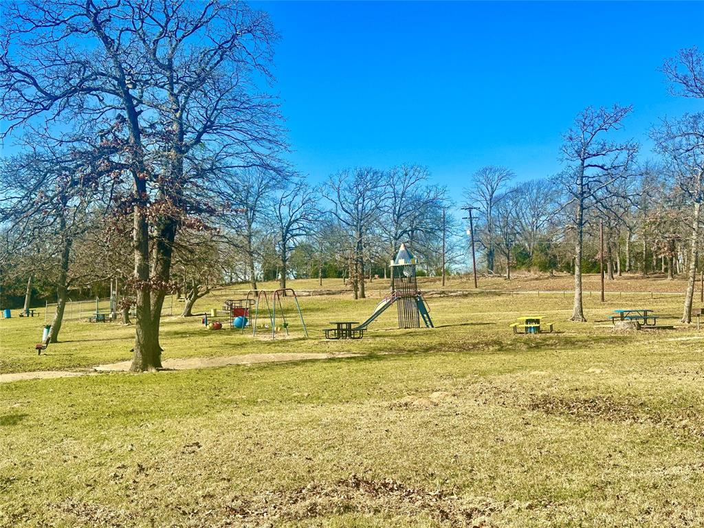 0 Daniel Boone Lane Log Cabin, TX 75148 - Photo 6 of 10 Community park
