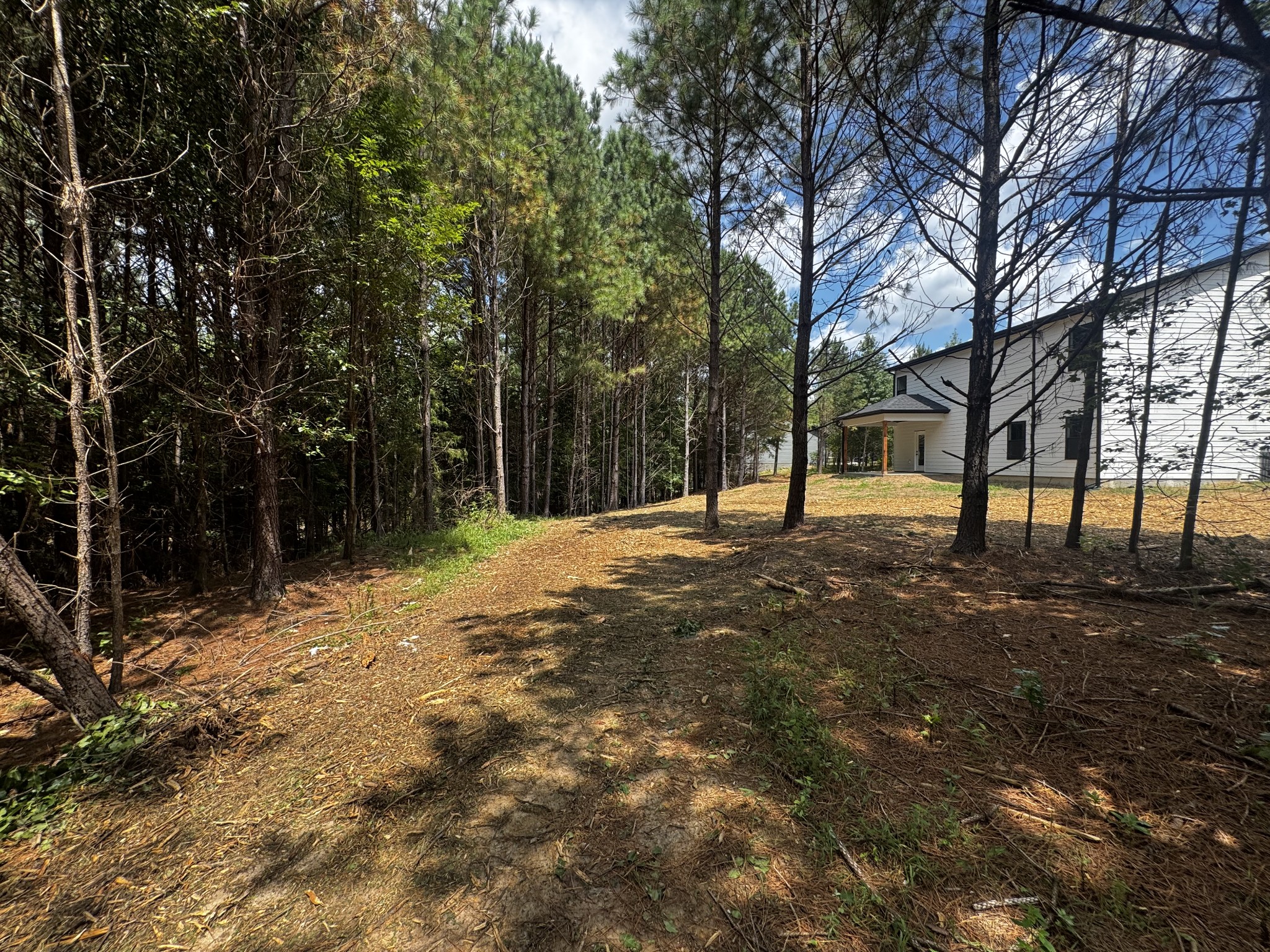537 Shelton Road Manchester, TN 37355 - Photo 30 of 36 a view of outdoor space with trees