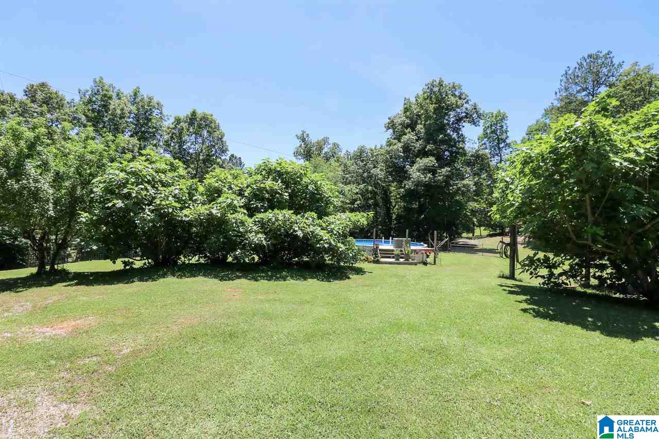 655 Mt Moriah Road Pell City, AL 35125 - Photo 39 of 50