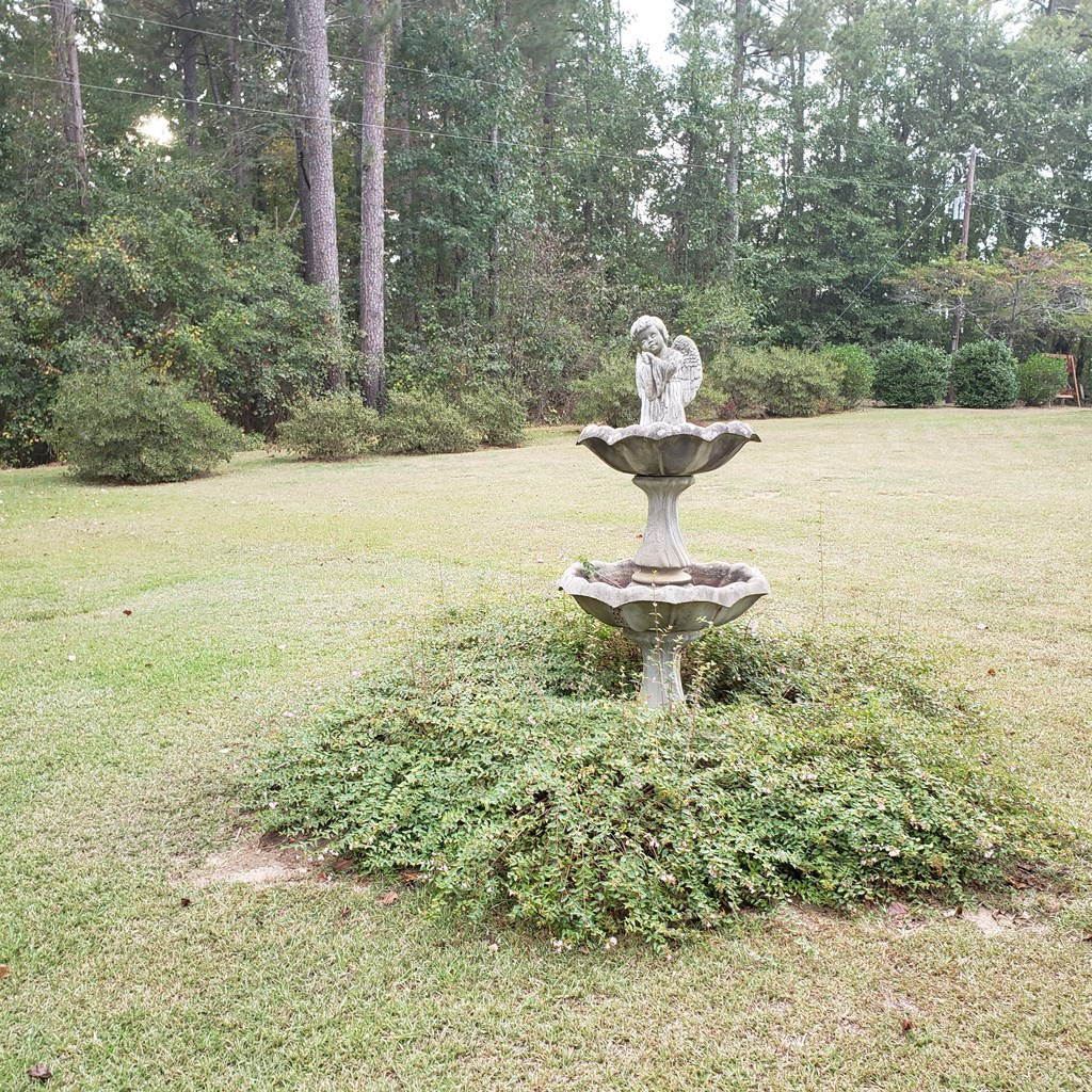 433 Howell-Young Road Thomson, GA 30824 - Photo 3 of 16