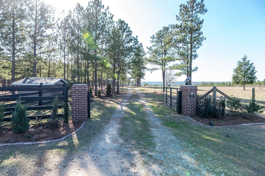 561 Juniper Mill Pond Road Box Springs, GA 31801 - Photo 1 of 34 Main View