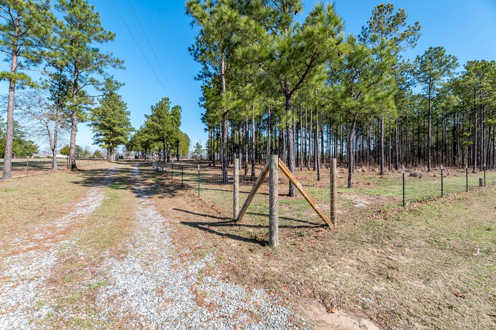 561 Juniper Mill Pond Road Box Springs, GA 31801 - Photo 4 of 34 Long Driveway Between Fenced Areas