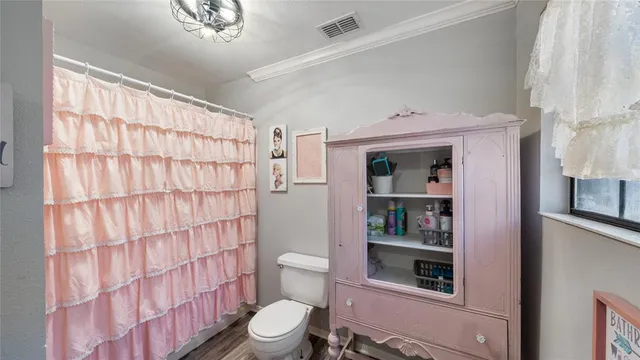 a bathroom with a toilet and a shower curtain