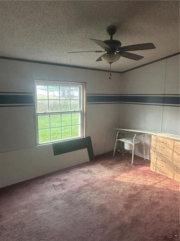 341 Bridgeport Road Mount Pleasant, PA 15666 - Photo 8 of 19 a room with furniture and a window