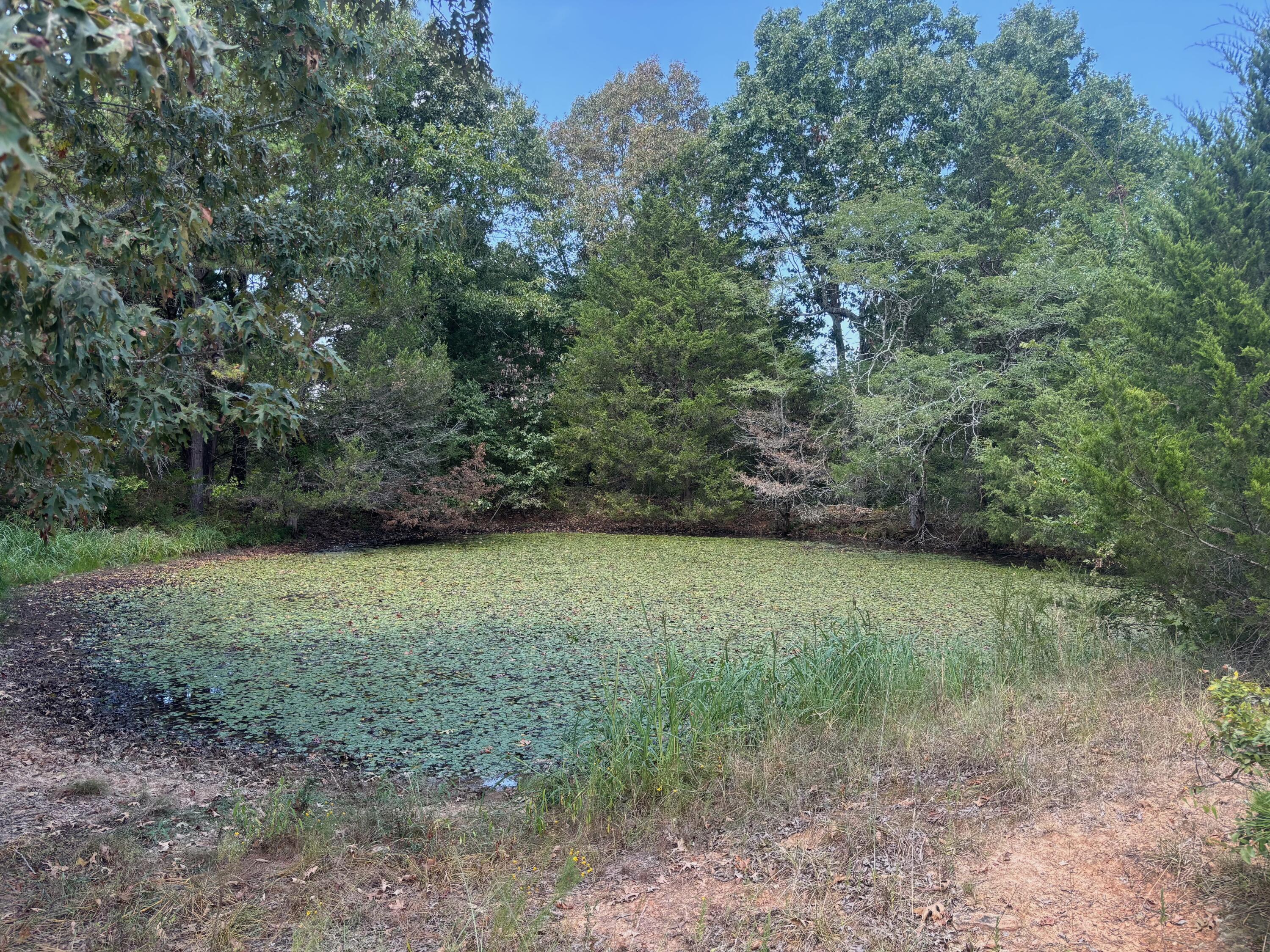 2 Little Woods Road Elizabeth, AR 72531 - Photo 20 of 22 2 3