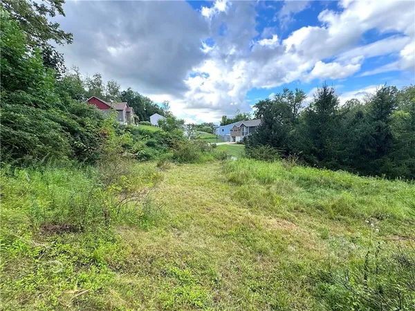a view of a big yard with lots of green space and plants