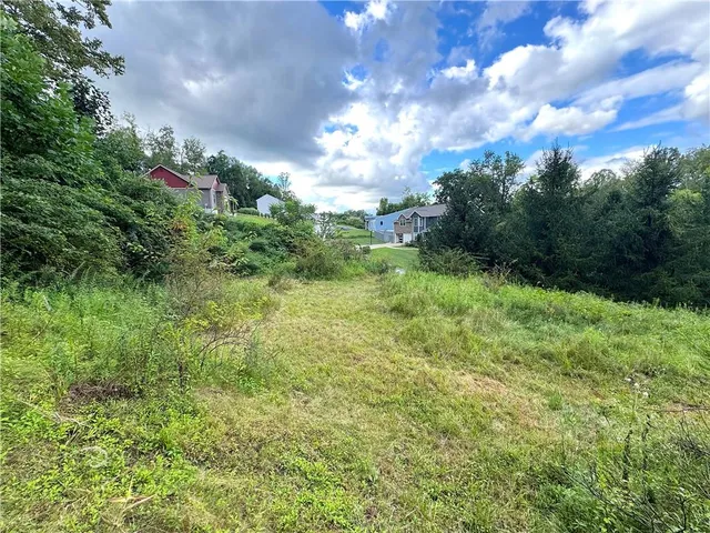 a view of a big yard with lots of green space and plants
