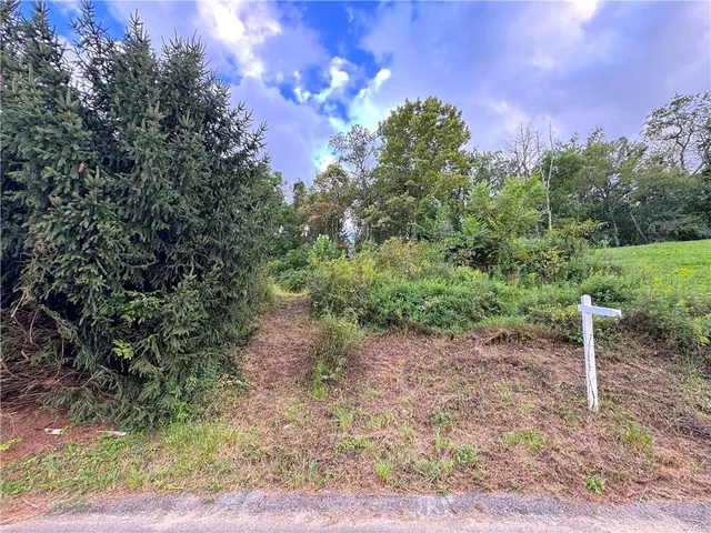 a view of a yard with a tree