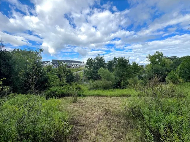 a view of a big yard with lots of green space