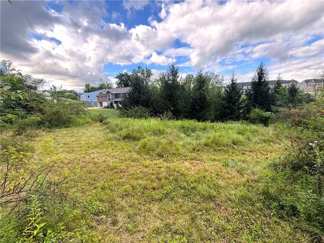 a view of a garden with plants and a large tree