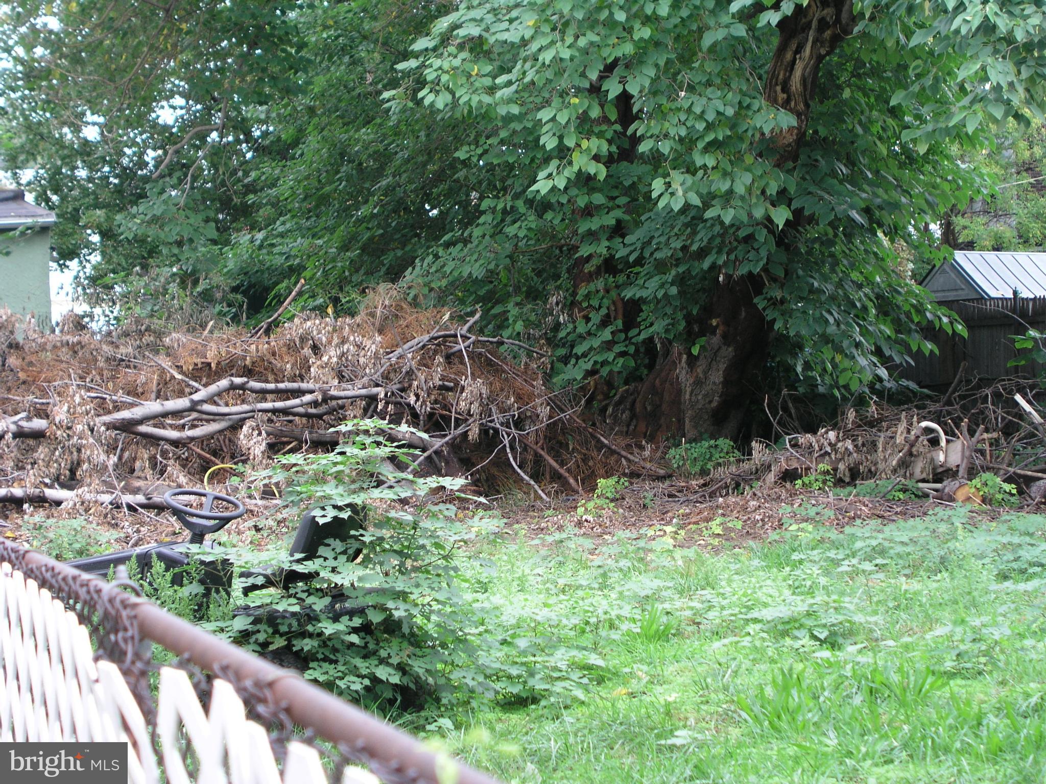 4352 Pearce Street Philadelphia, PA 19124 - Photo 2 of 2 a backyard of a house with lots of green space