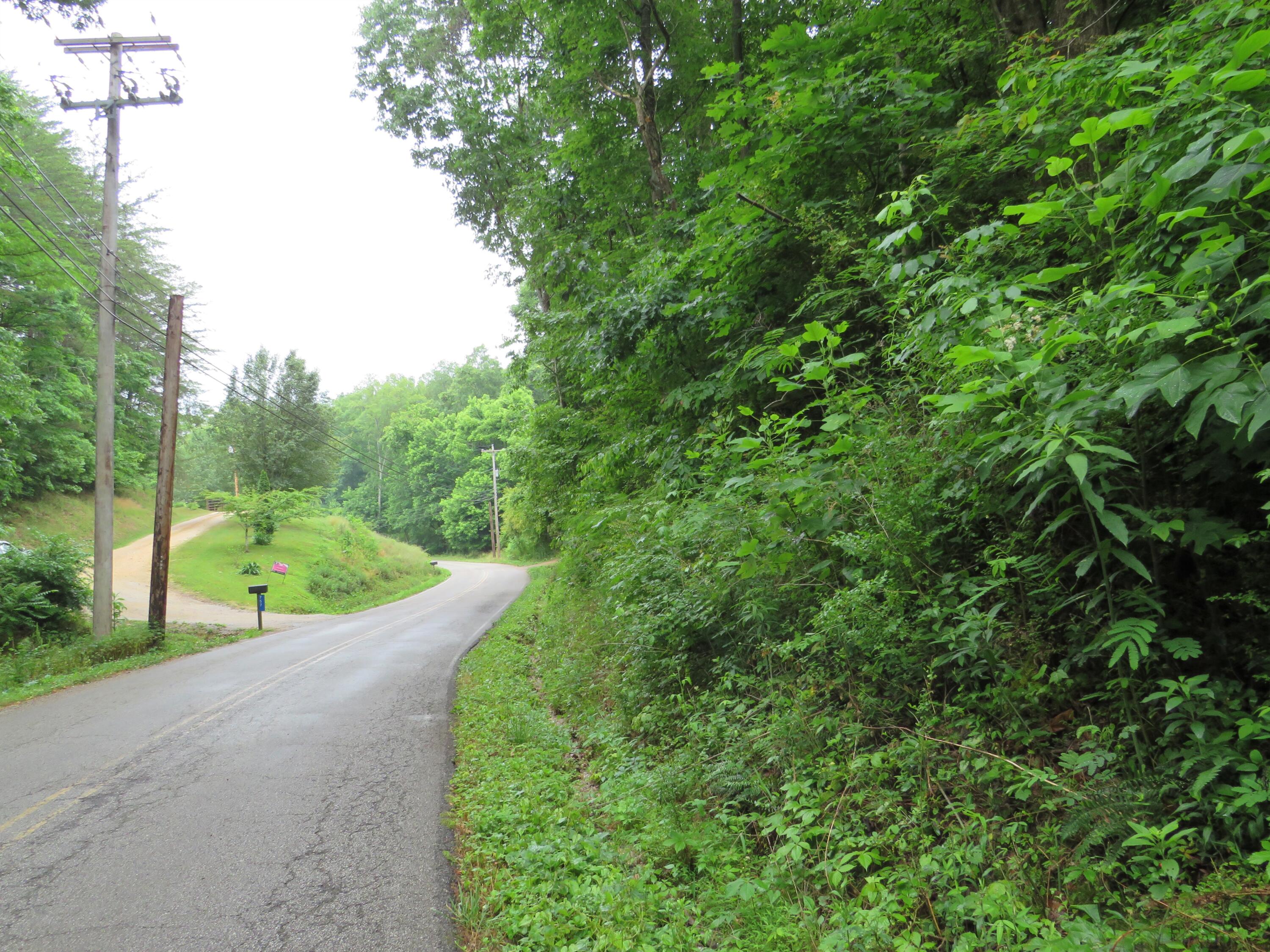 Emory Heights Road Harriman, TN 37748 - Photo 2 of 6 PIC001