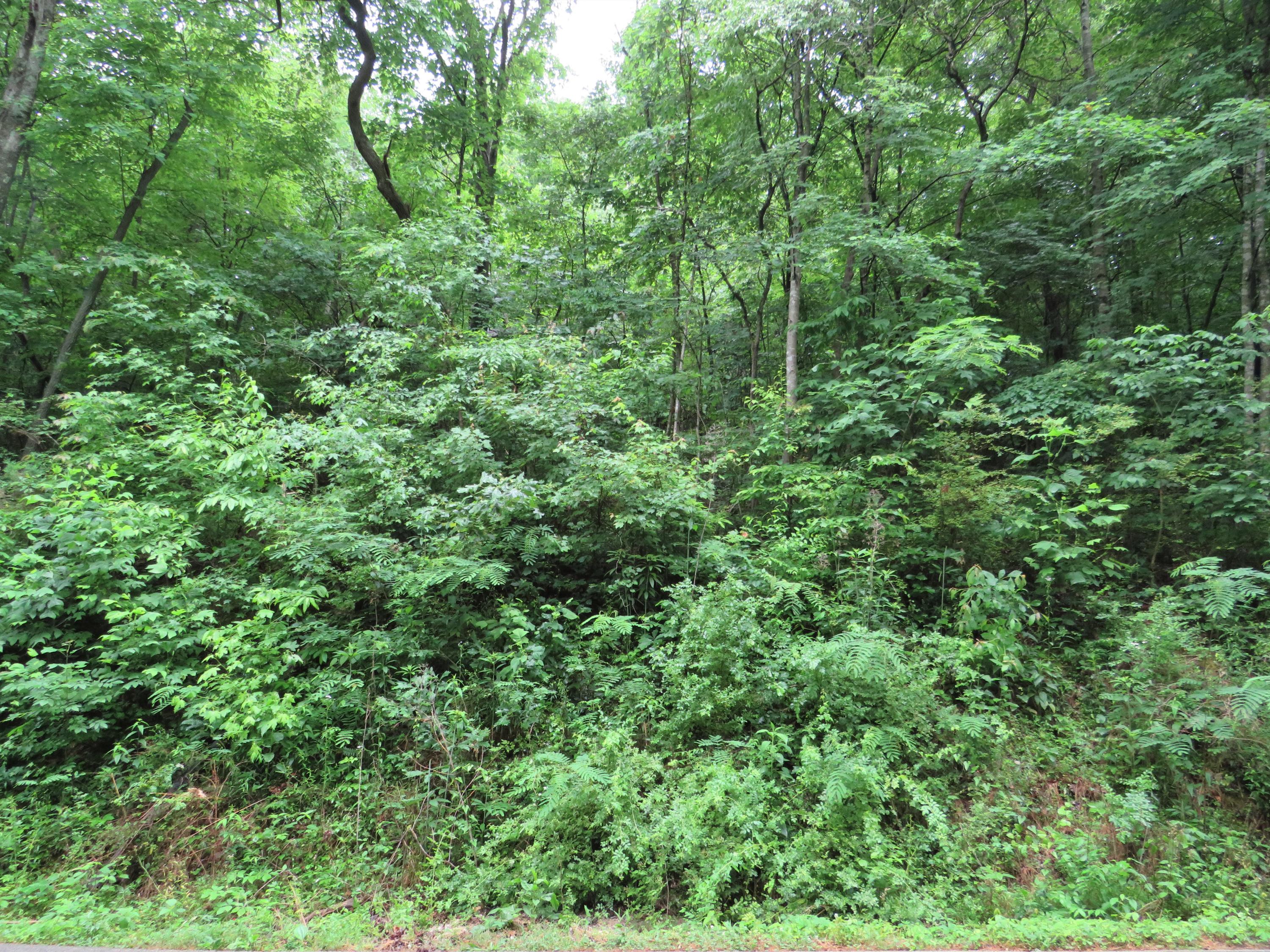 Emory Heights Road Harriman, TN 37748 - Photo 3 of 6 PIC002