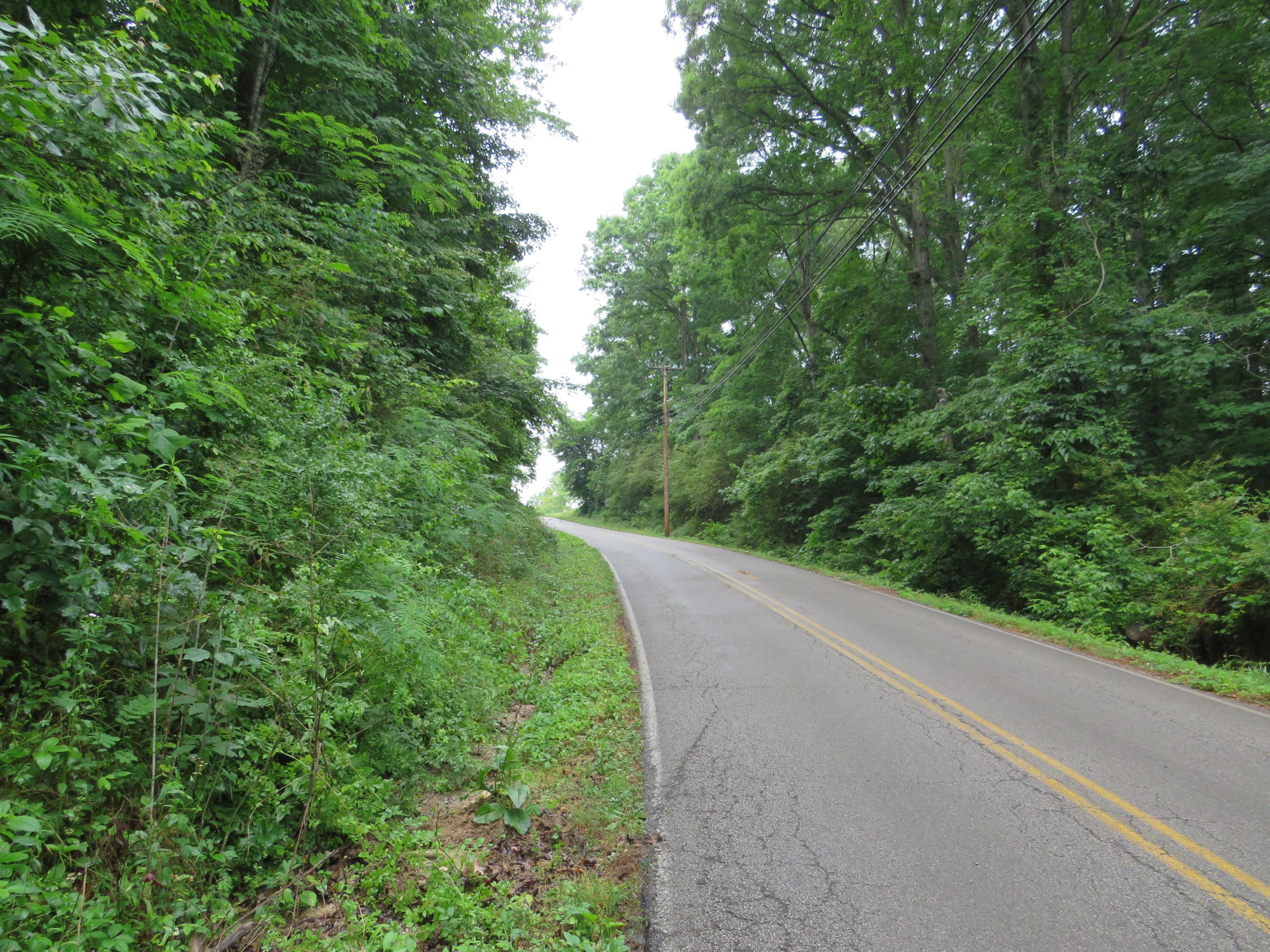 Emory Heights Road Harriman, TN 37748 - Photo 5 of 6 PIC004