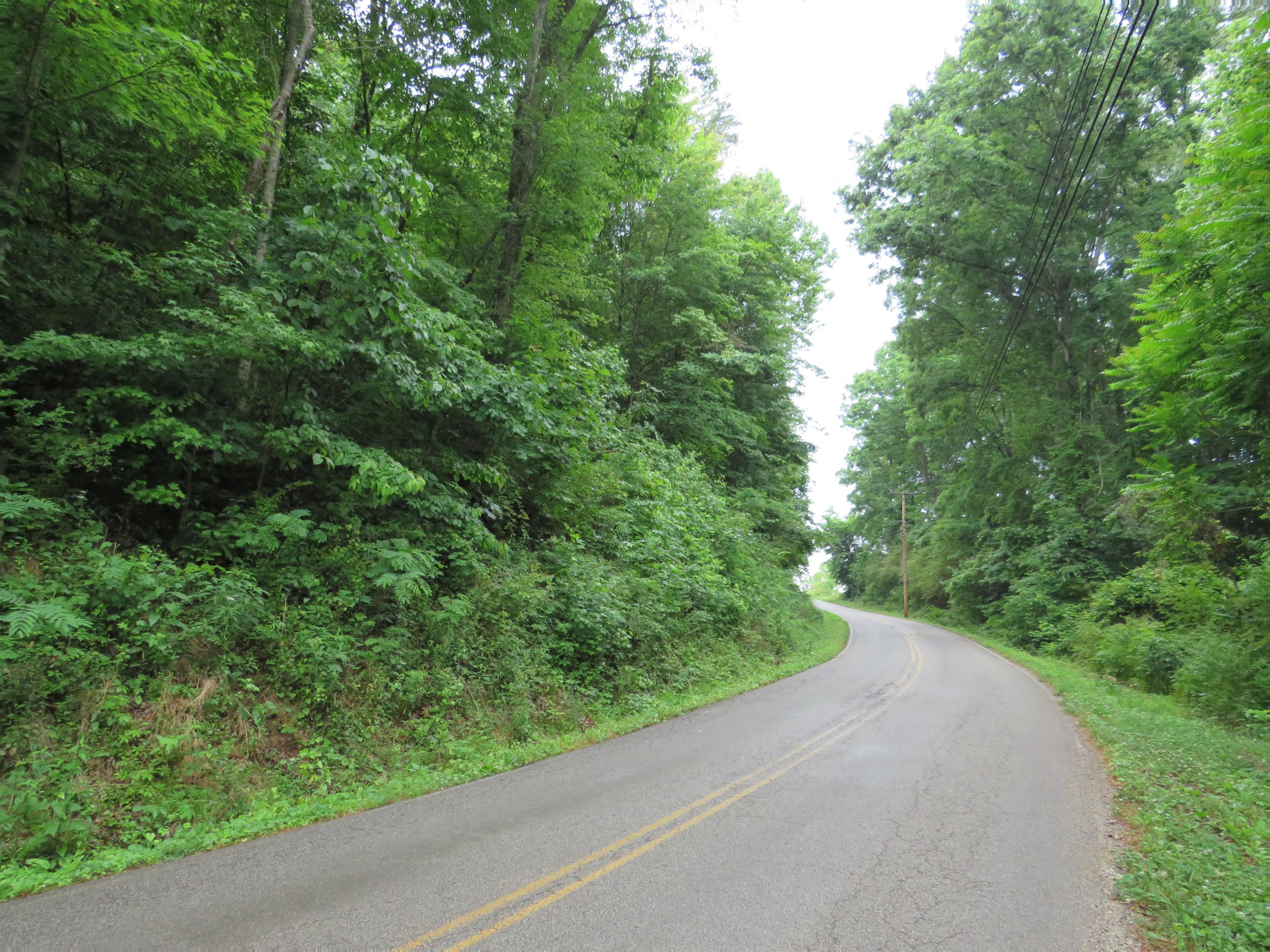 Emory Heights Road Harriman, TN 37748 - Photo 6 of 6 PIC005