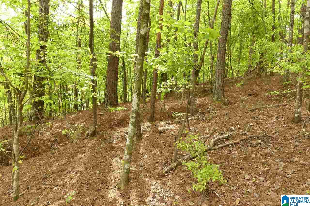 Lot 8 Bluegill Drive, Unit 8 Wedowee, AL 36278 - Photo 4 of 10