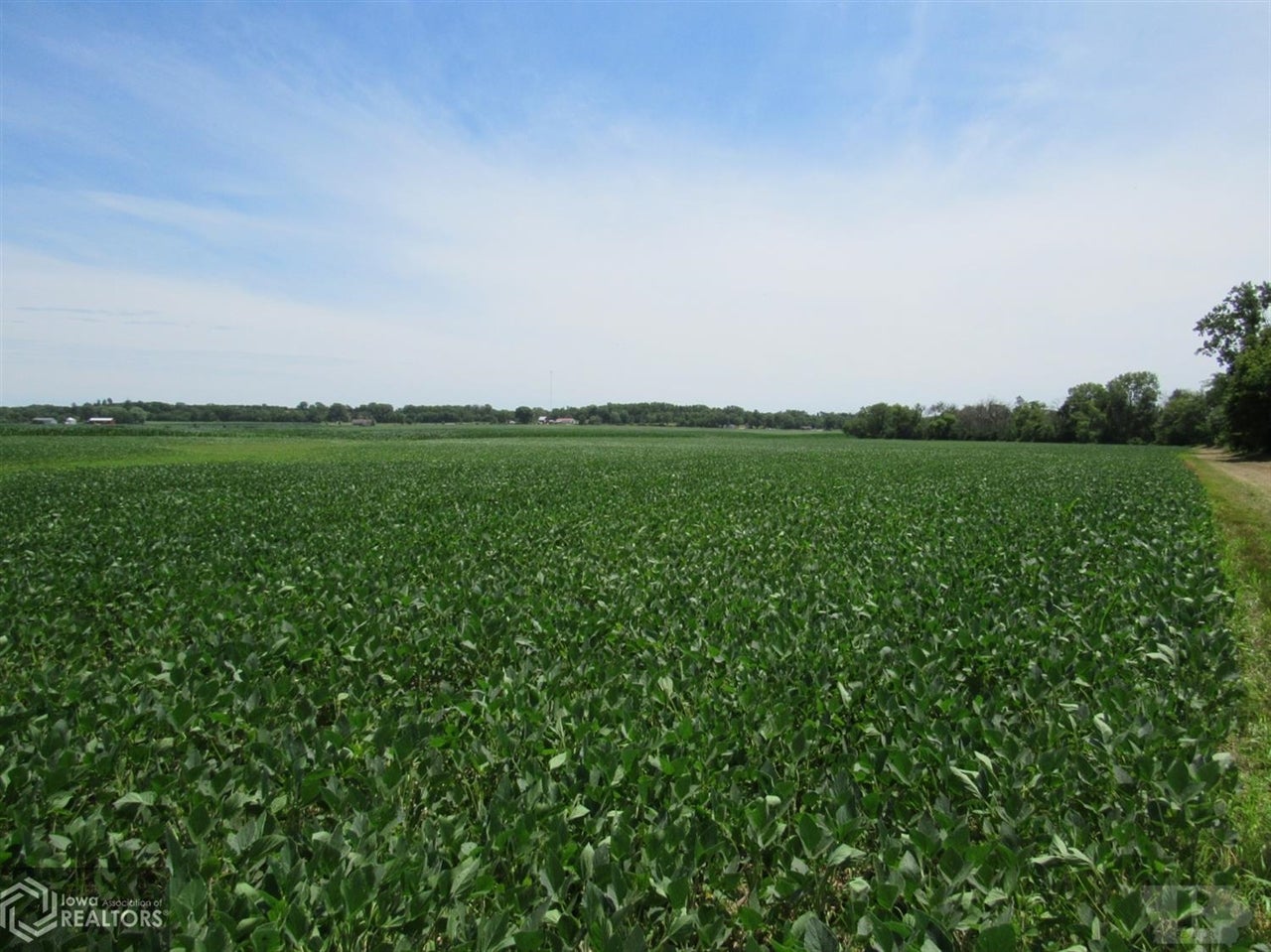 12276 Floris Road Floris, IA 52560 - Photo 6 of 10 Gallery Image 6