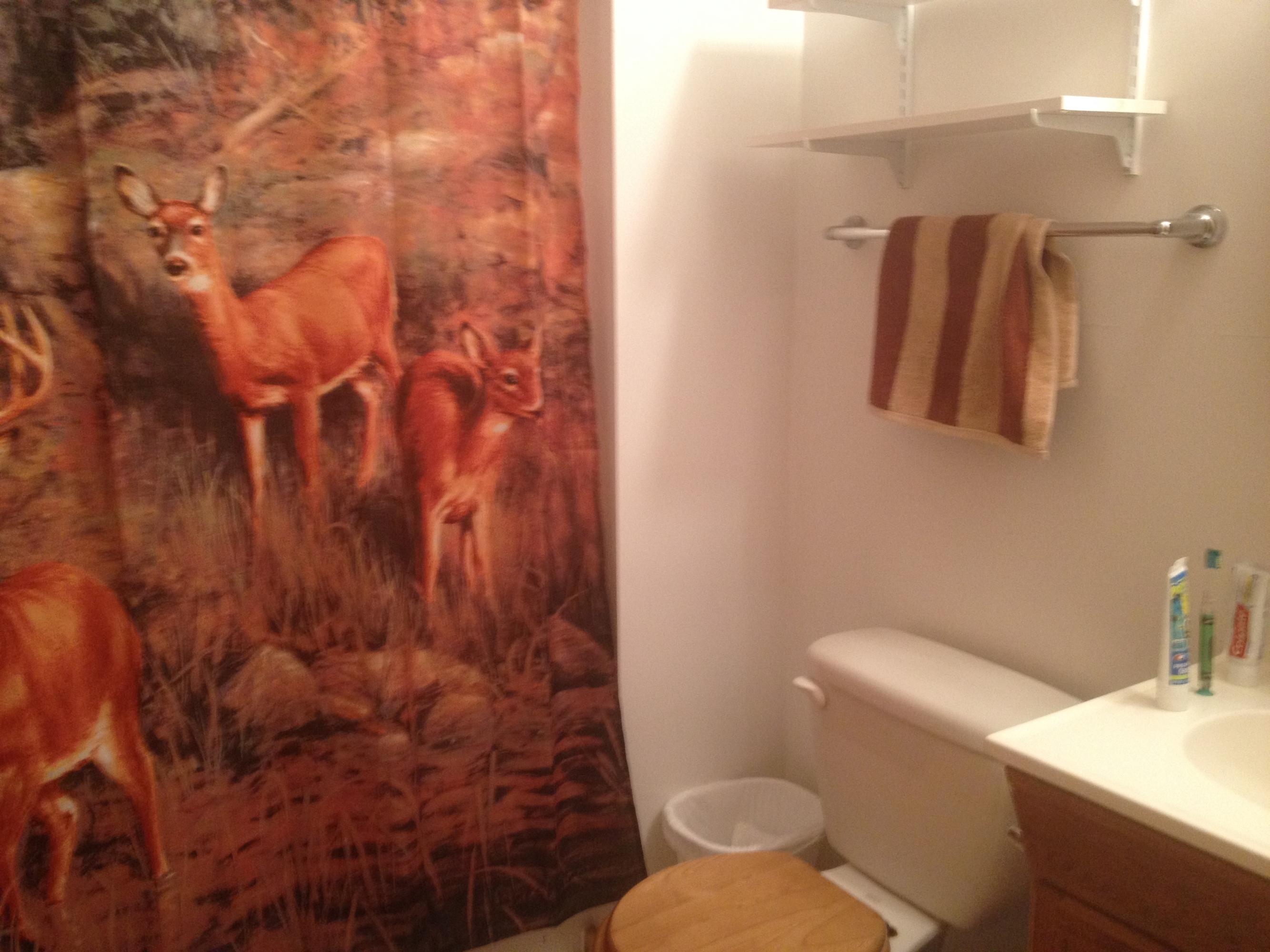 6970 Klein Road Hillman, MI 49746 - Photo 10 of 31 Gallery Image 10